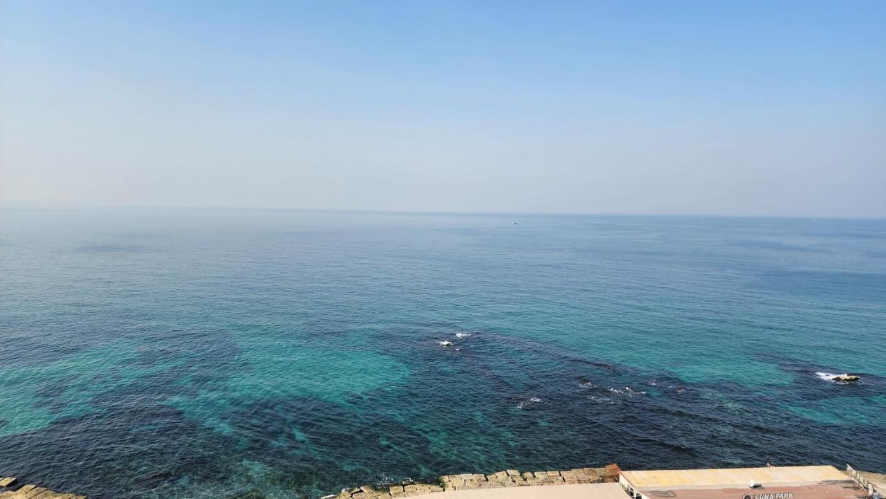 Alex Sea View Apartment - Families Only 亚历山大港 外观 照片